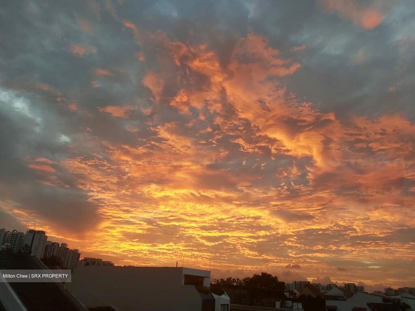 Seletar Hills Estate (D28), Terrace #476767191